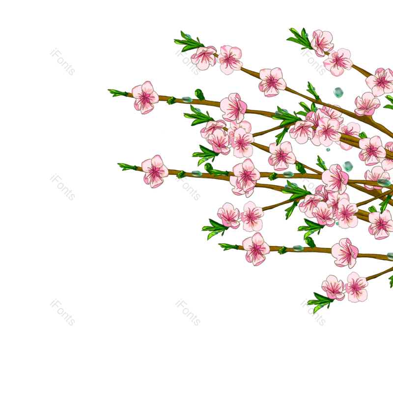 花素材图片,花朵元素,鲜花PNG,花朵装饰免抠素材